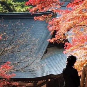 京都私藏的这些红叶胜地让人惊叹