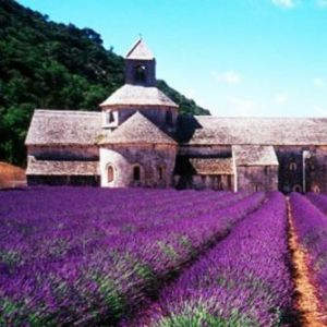 紫色法国蜜月旅行 浪漫的大河之旅