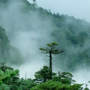 轿子雪山 未经雕琢的避暑仙山