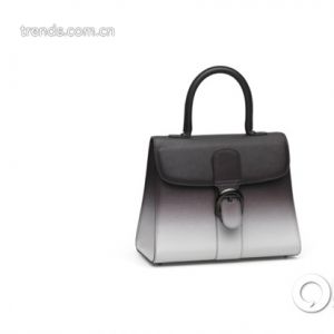 Delvaux 2014年春夏系列