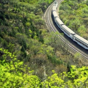 <b>国内就有日本同款花海火车 将迎来最美春天</b>