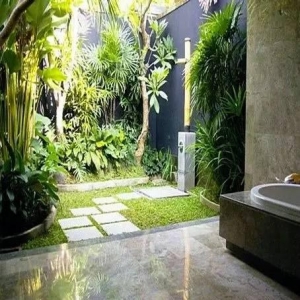 把卫生间变成花园 置身绿色的世